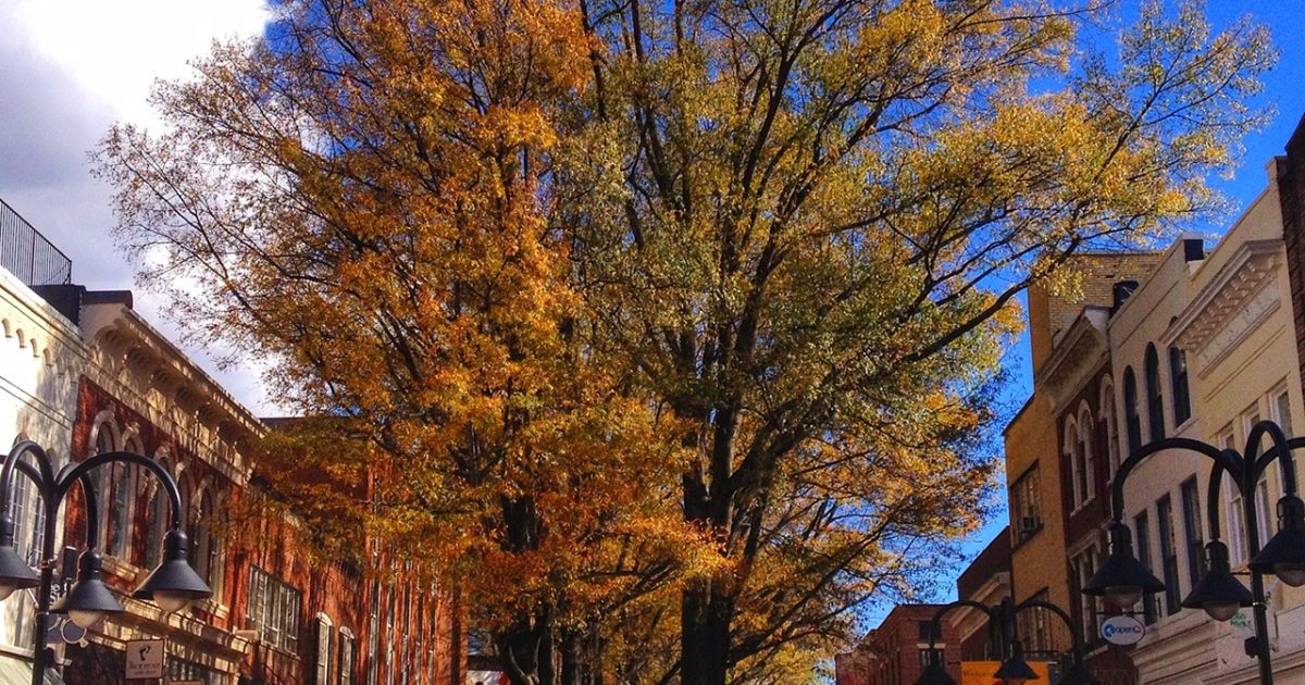 10 Places to Enjoy Fall Foliage in the Charlottesville Area! Visit