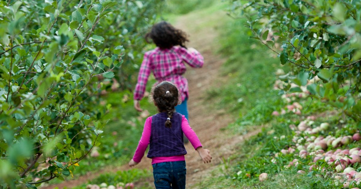 Family-Friendly Activities | Visit Charlottesville | Visit Charlottesville