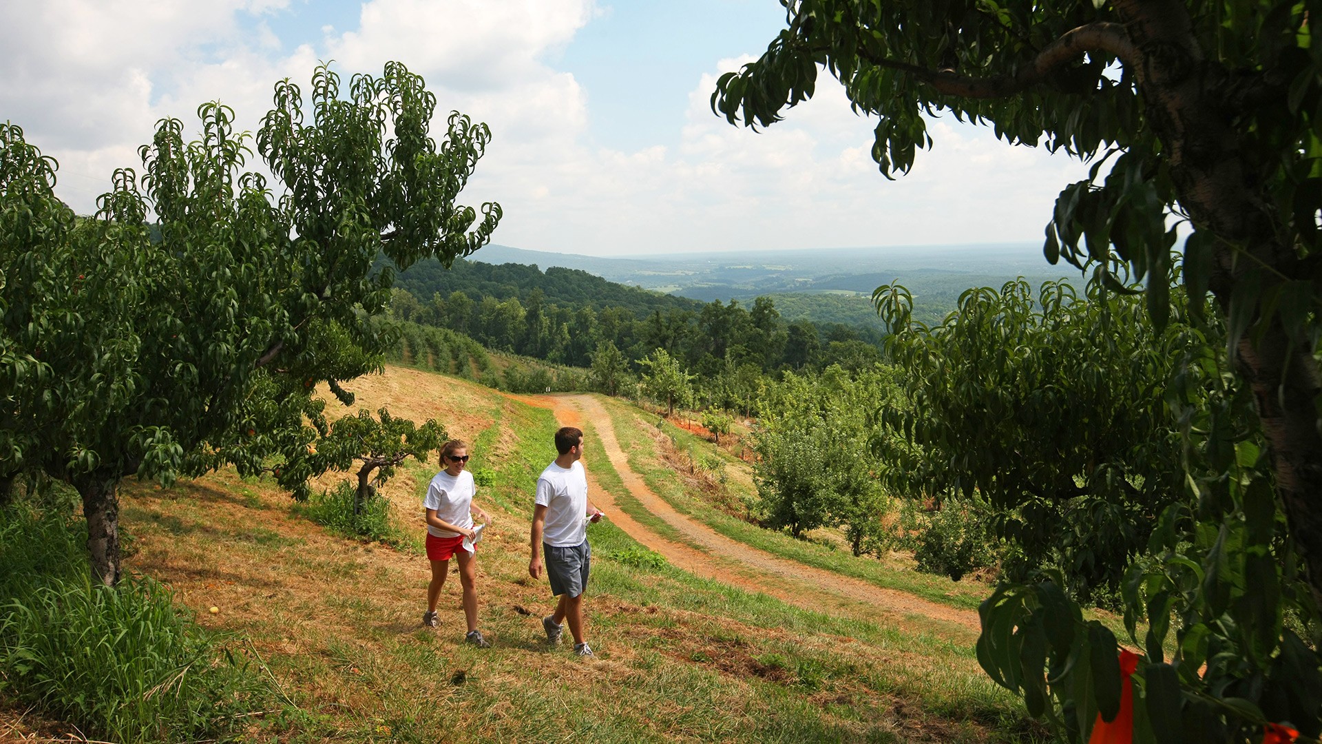 Carter Mountain Orchard, Charlottesville VA